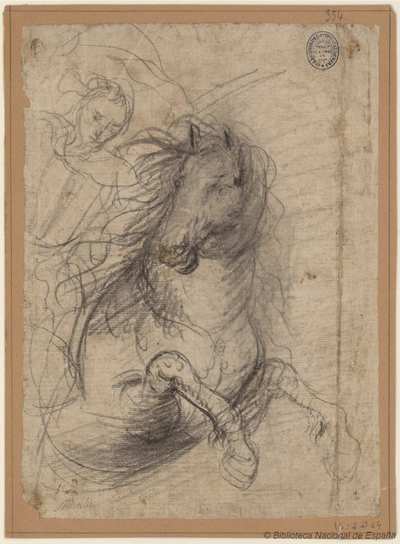 66 New Leonardo horse drawing faint sketch man 