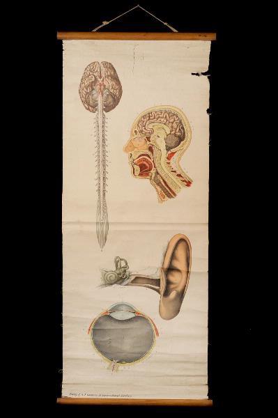 europeana