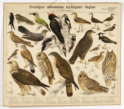 europeana