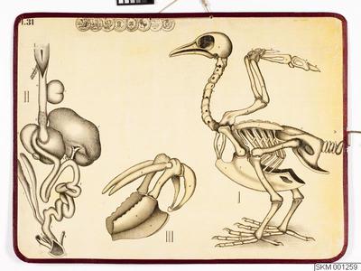 europeana
