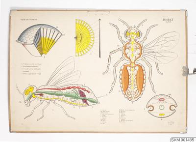 europeana