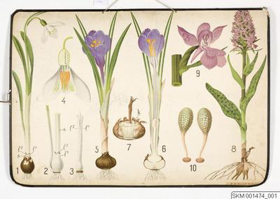 europeana