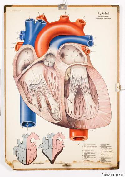 europeana