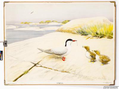 europeana