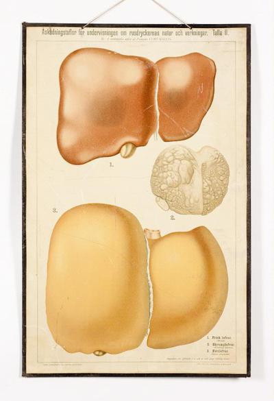 europeana