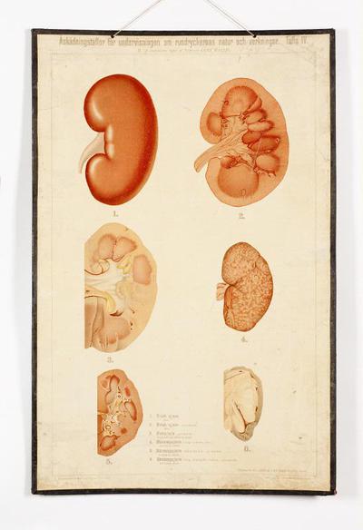 europeana