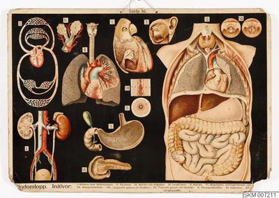 europeana