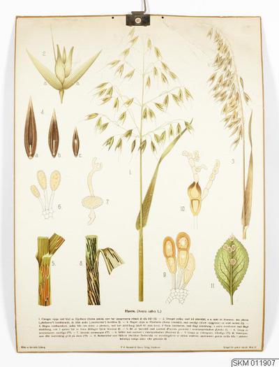 europeana
