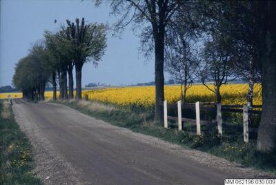 europeana