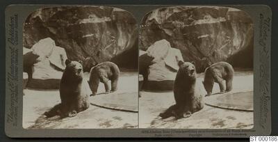 europeana