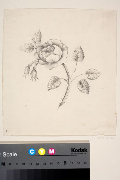 europeana