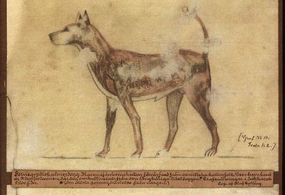 europeana