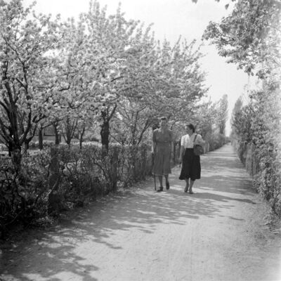europeana
