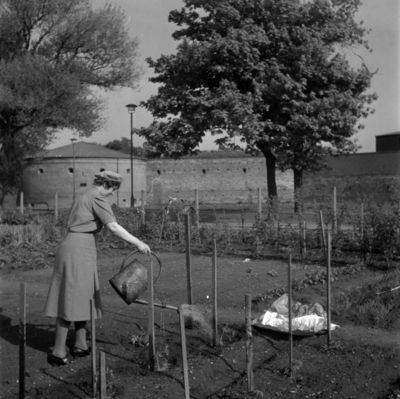 europeana