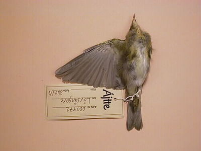europeana