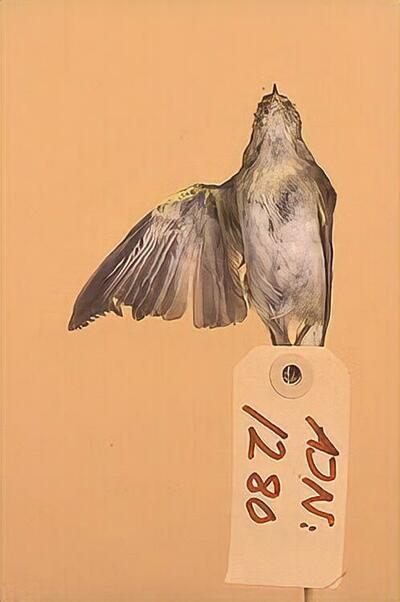 europeana
