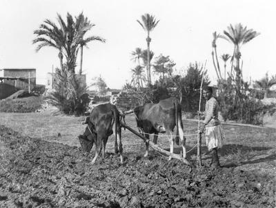 europeana