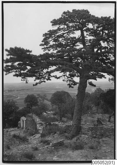europeana