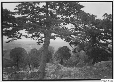 europeana