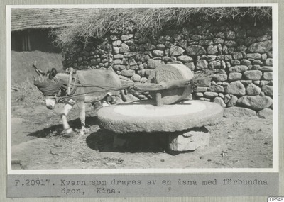 europeana