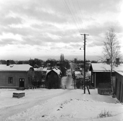 Vikengatan sedd från Kvarnberget 1954.