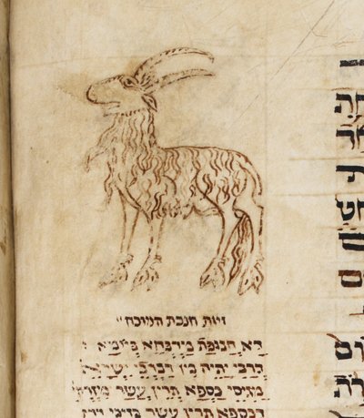 Goat from BL Add 26878, f. 161v