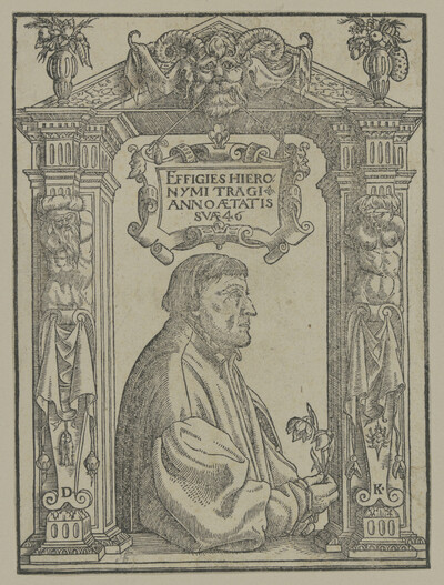Bildnis des Hieronymus Tragus