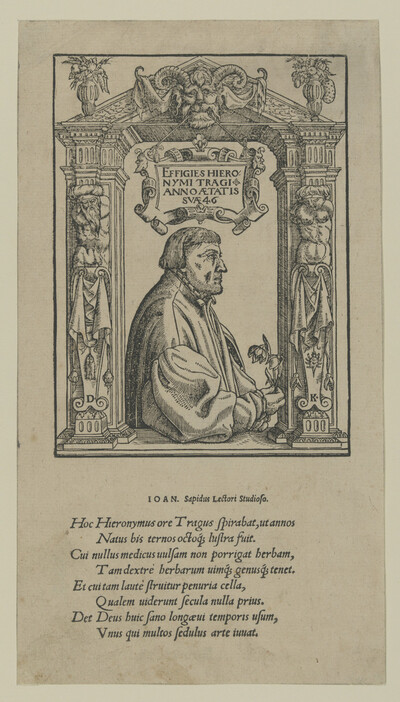 Bildnis des Hieronymus Bock, gen. Tragus