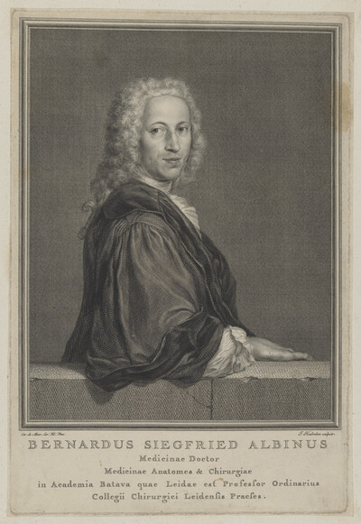 Portrait of Bernardus Siegfried Albinus