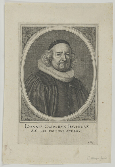 Portrait of Ioannes Casparvs Bavhinvs