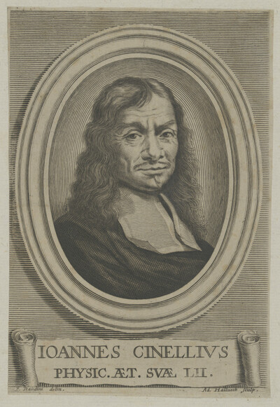 Portrait of Ioannes Cinelliv