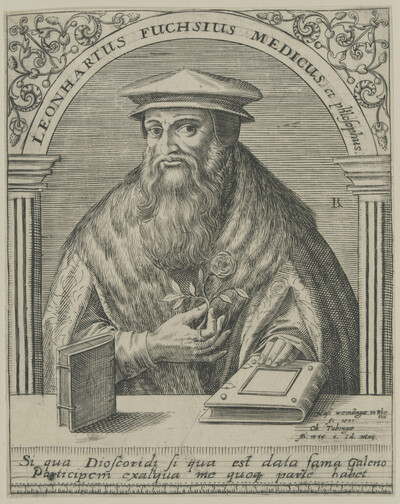 Portrait of Leonhard Fox