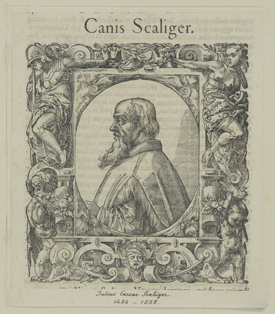 Portrait of Julius Caesar Scaliger