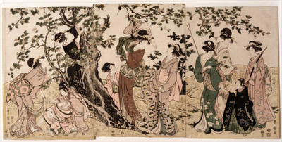 A group of women picking plums