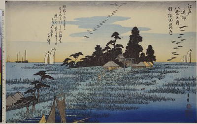 Low-flying wild geese in Haneda, from the series: Eight views of the surroundings of Edo