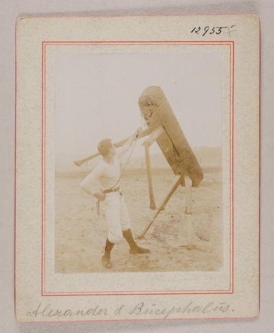 Alexander und Bucephalus