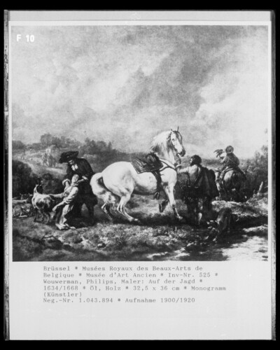 Hunting