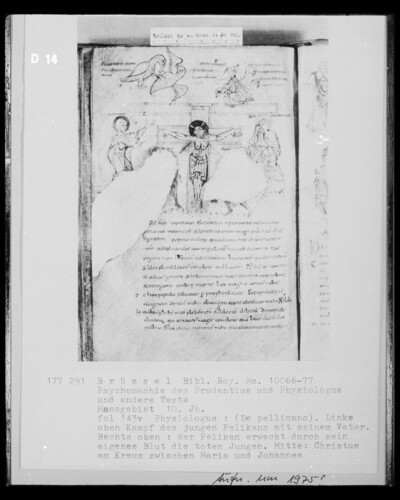 Ms 10066-77, Psychomachy of the Prudentius and Physiologus and other texts, fol. 143v, Physiologos: De pellicaro; Young Pelican’s fight with his father, raising the boys with his own blood; Crucifixion group