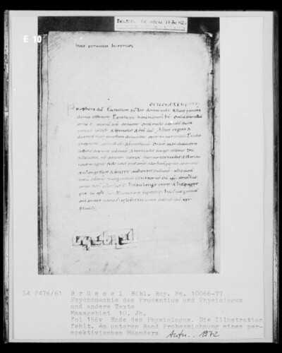 Ms 10066-77, Psychomachy of the Prudentius and Physiologus and other texts, fol. 156v, end of the physiologo: Proposition of a meandric pattern