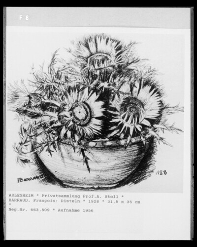 Thistles