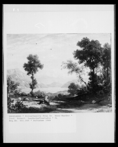 Landscape Study