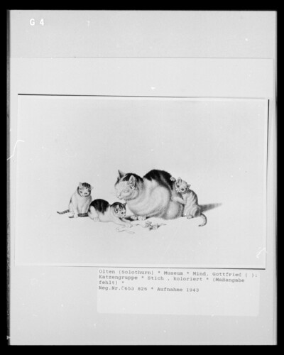 Cat with boys