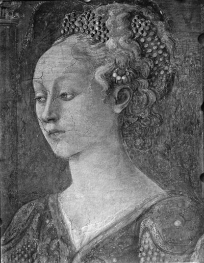 fresco cycle
