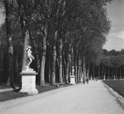 Allée d 'Apollon au Grand Canal