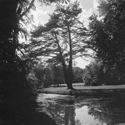 Parc des Trianons