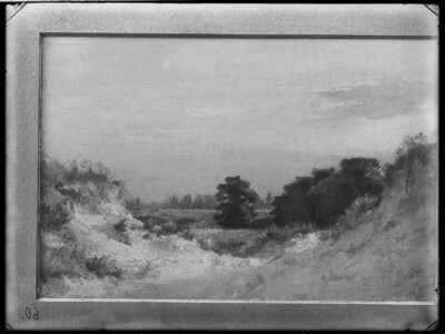 Dune landscape