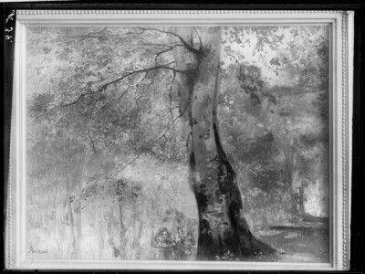 Große Buche (Barbizon-Studie)