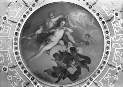 Flora