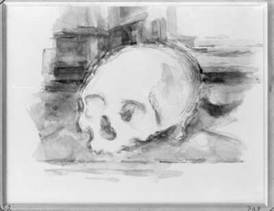 Skull study