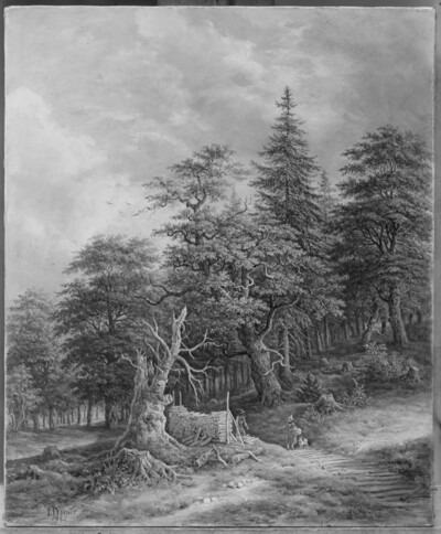 Forest trail with hikers